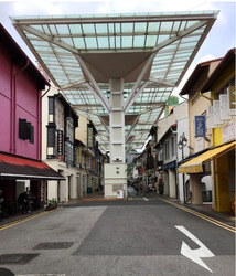 Kreta Ayer Conservation Area (D1), Shop House #446956141